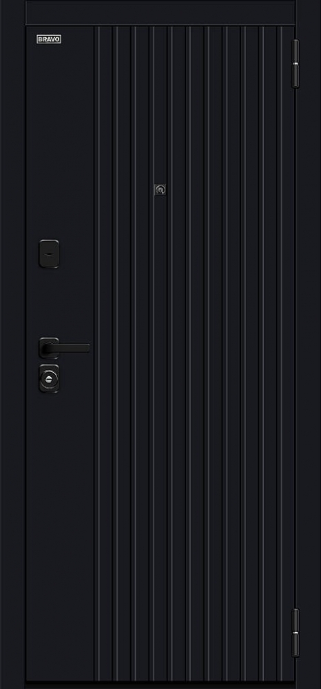 Дверь Граффити-32/SBlack Black Shell/White Pro BR6160